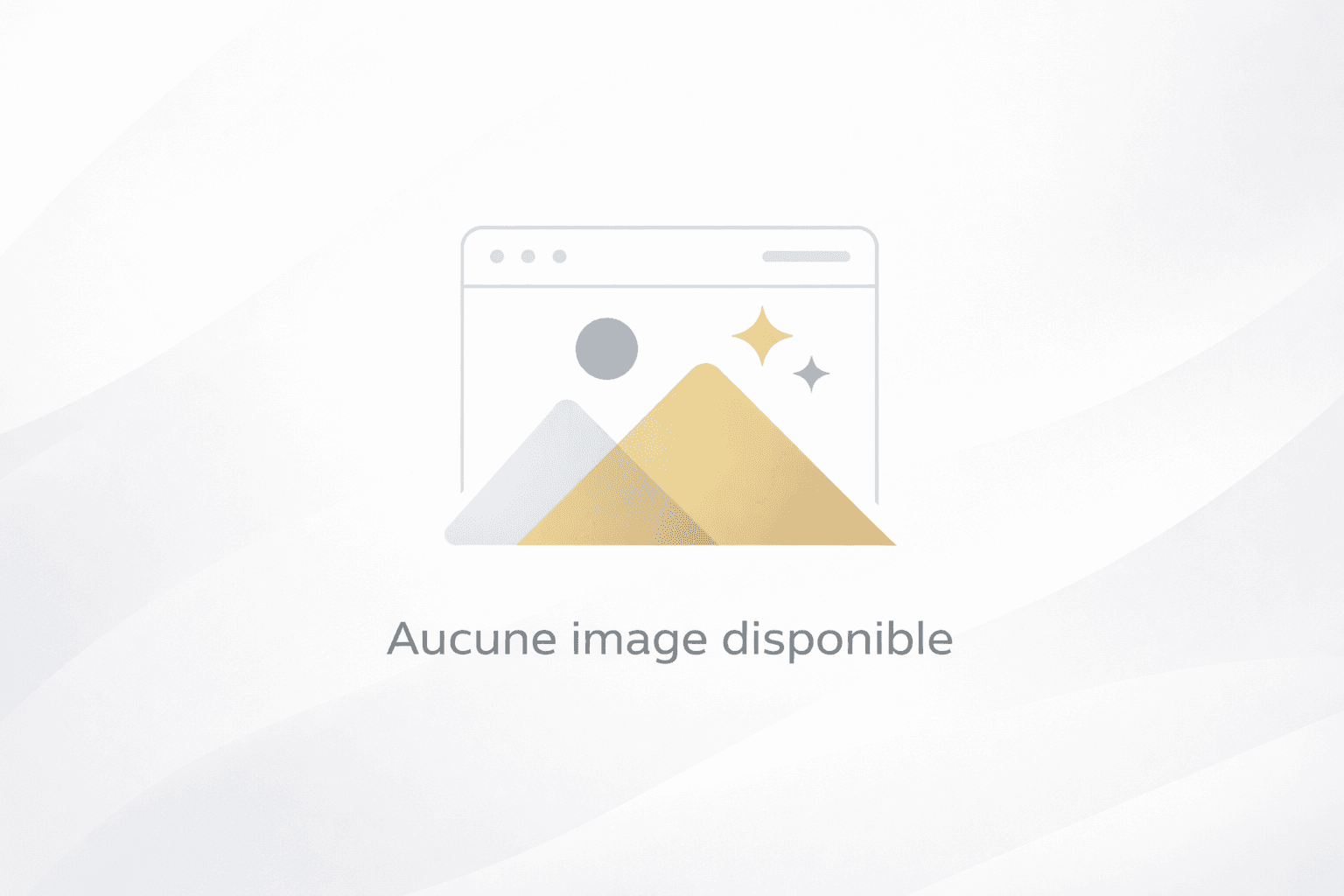 Développement d’une application métier interne